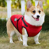 Manteau pour chien - Protect Dog™