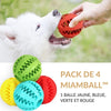 Balle pour chien - [PACK de 4] MiamBall™